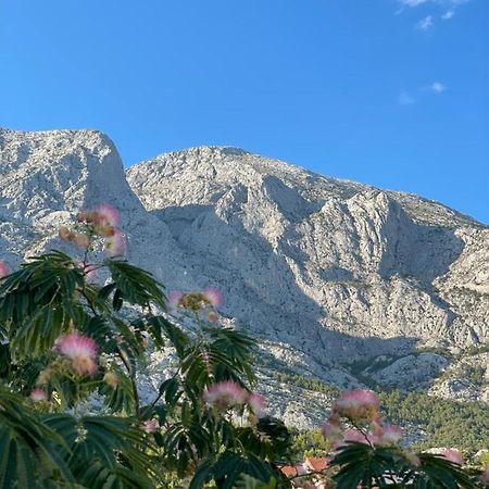 Heaven'S View Apartments Baška Voda Esterno foto