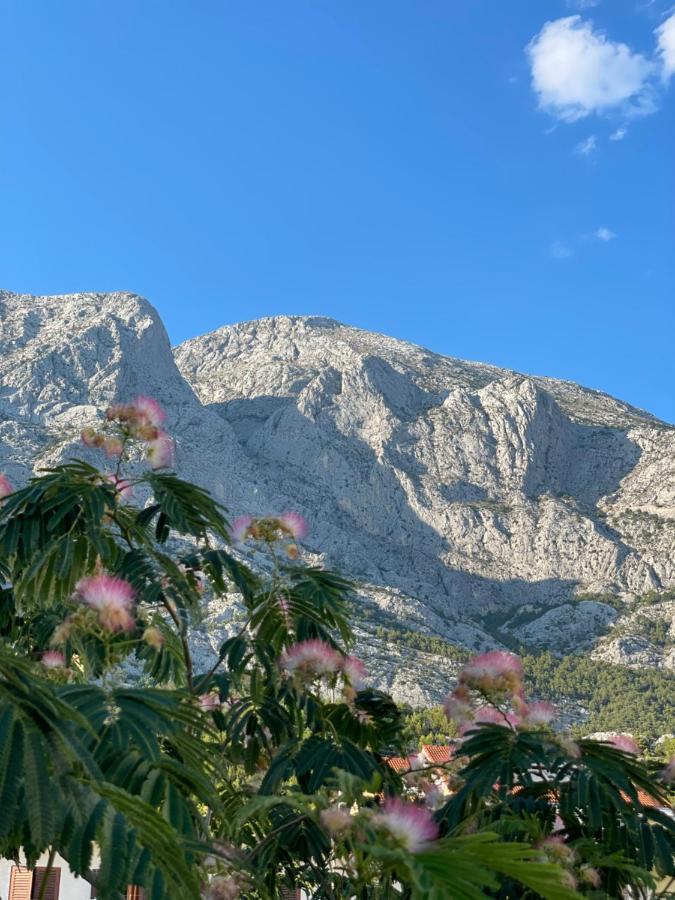 Heaven'S View Apartments Baška Voda Esterno foto