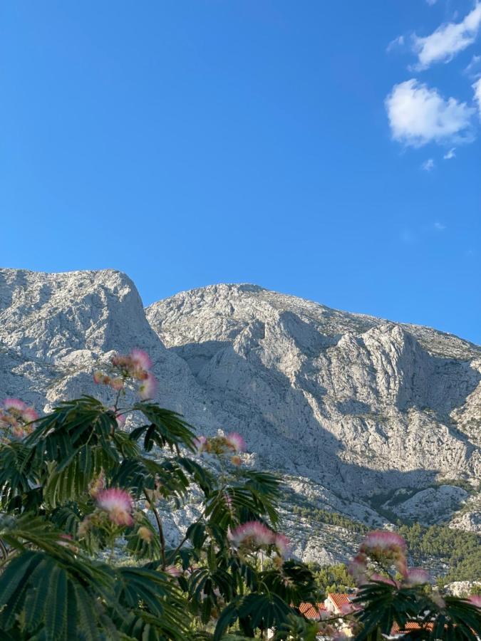 Heaven'S View Apartments Baška Voda Esterno foto