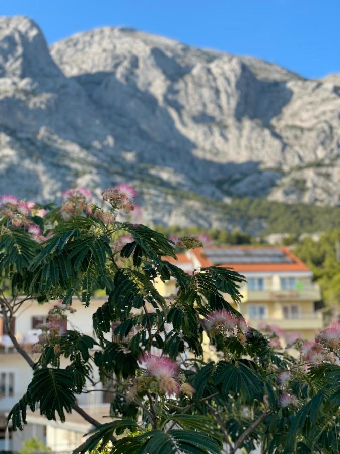 Heaven'S View Apartments Baška Voda Esterno foto